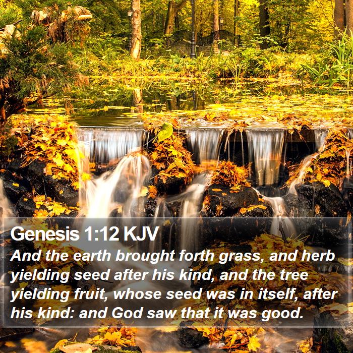 Genesis 1:12 KJV Bible Study