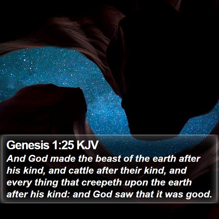 Genesis 1:25 KJV Bible Study