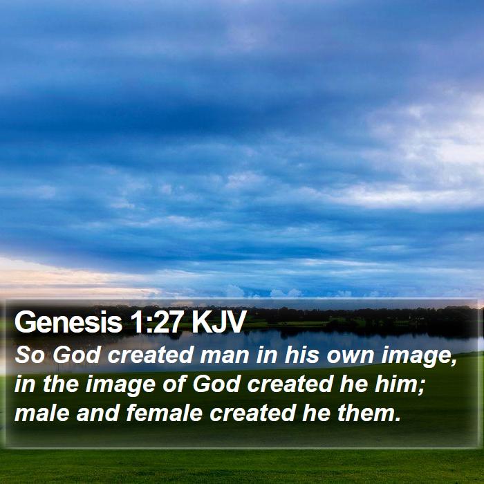 Genesis 1:27 KJV Bible Study