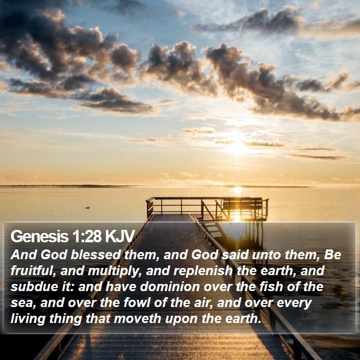 Genesis 1:28 KJV Bible Study