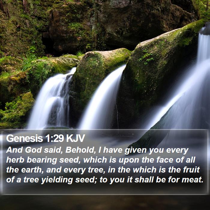 Genesis 1:29 KJV Bible Study