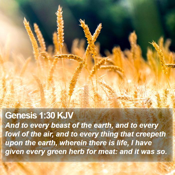 Genesis 1:30 KJV Bible Study