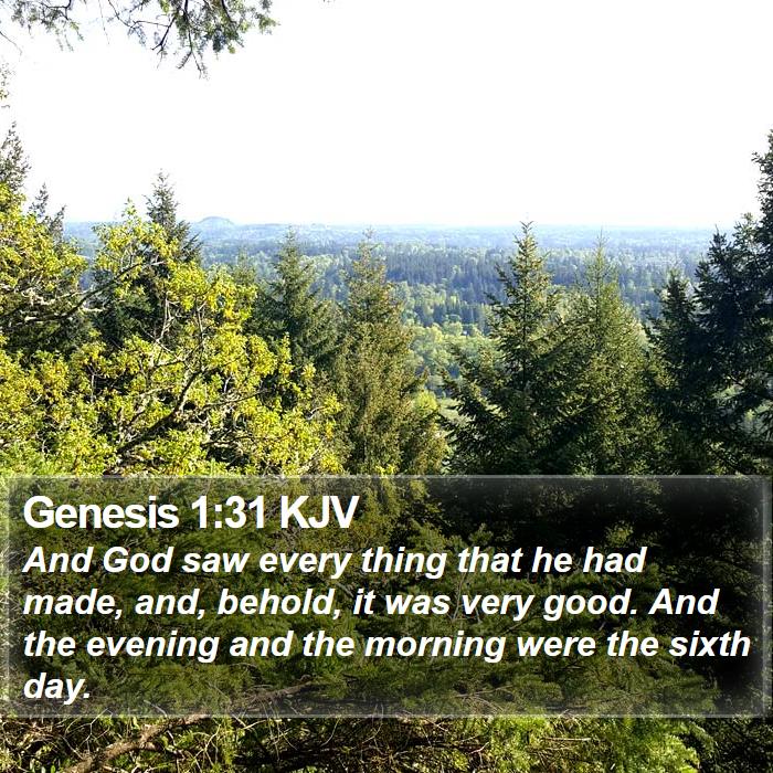 Genesis 1:31 KJV Bible Study