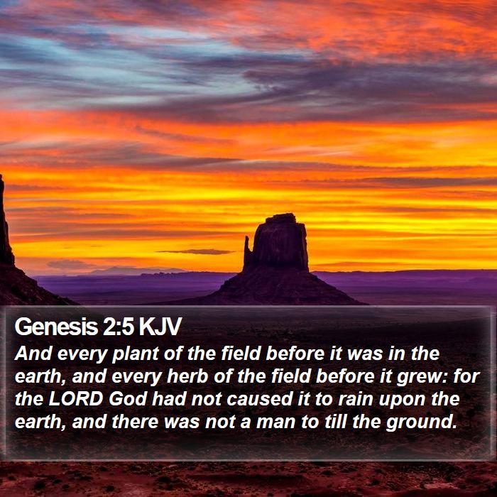 Genesis 2:5 KJV Bible Study