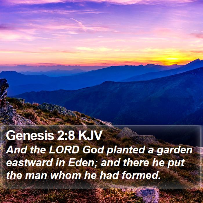 Genesis 2:8 KJV Bible Study