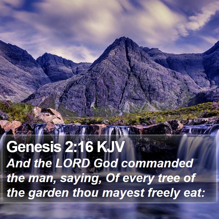 Genesis 2:16 KJV Bible Study