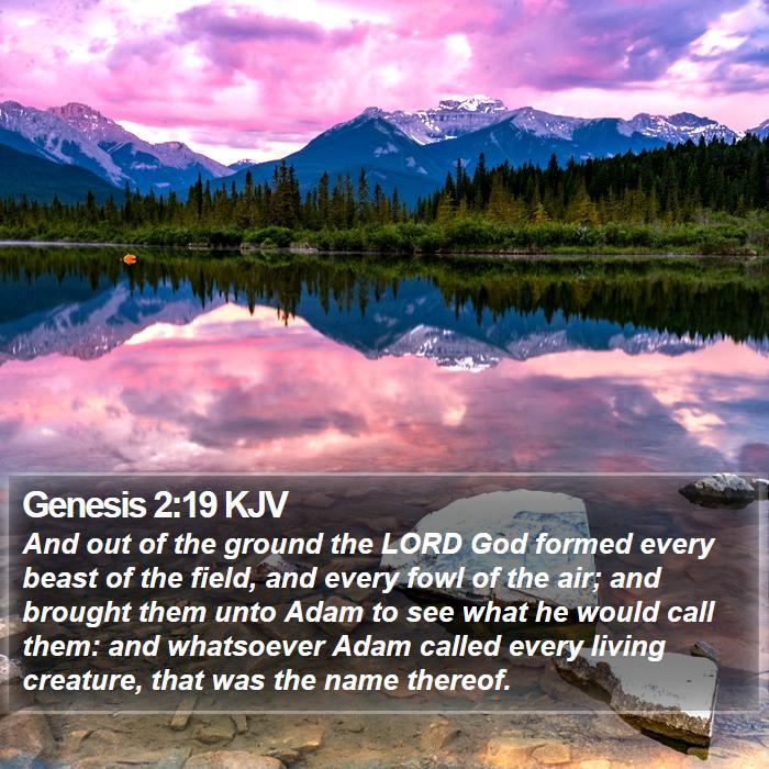 Genesis 2:19 KJV Bible Study