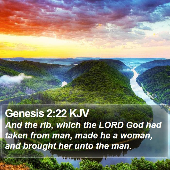 Genesis 2:22 KJV Bible Study