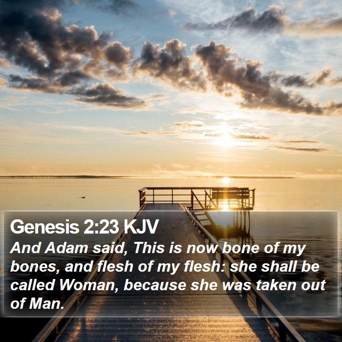 Genesis 2:23 KJV Bible Study