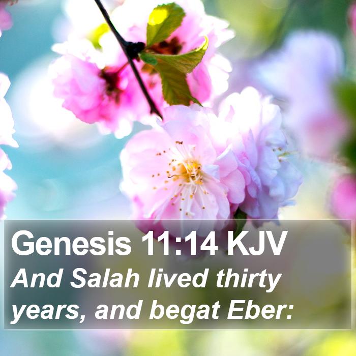 Genesis 11:14 KJV Bible Study