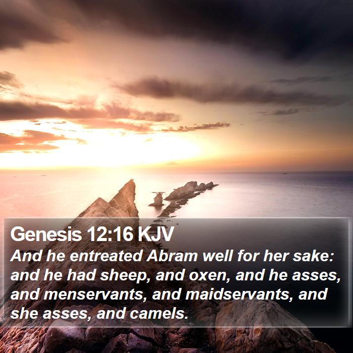 Genesis 12:16 KJV Bible Study