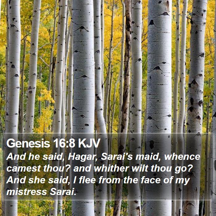 Genesis 16:8 KJV Bible Study