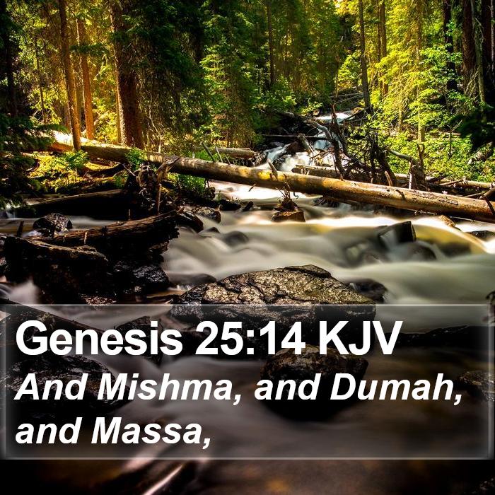 Genesis 25:14 KJV Bible Study