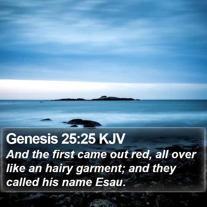 Genesis 25:25 KJV Bible Study