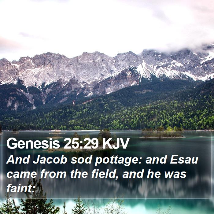 Genesis 25:29 KJV Bible Study