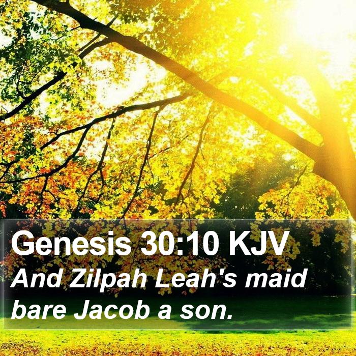 Genesis 30:10 KJV Bible Study