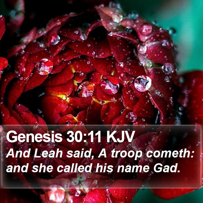 Genesis 30:11 KJV Bible Study