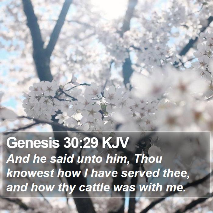 Genesis 30:29 KJV Bible Study