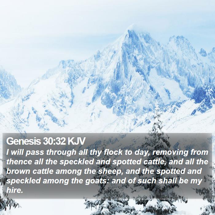 Genesis 30:32 KJV Bible Study