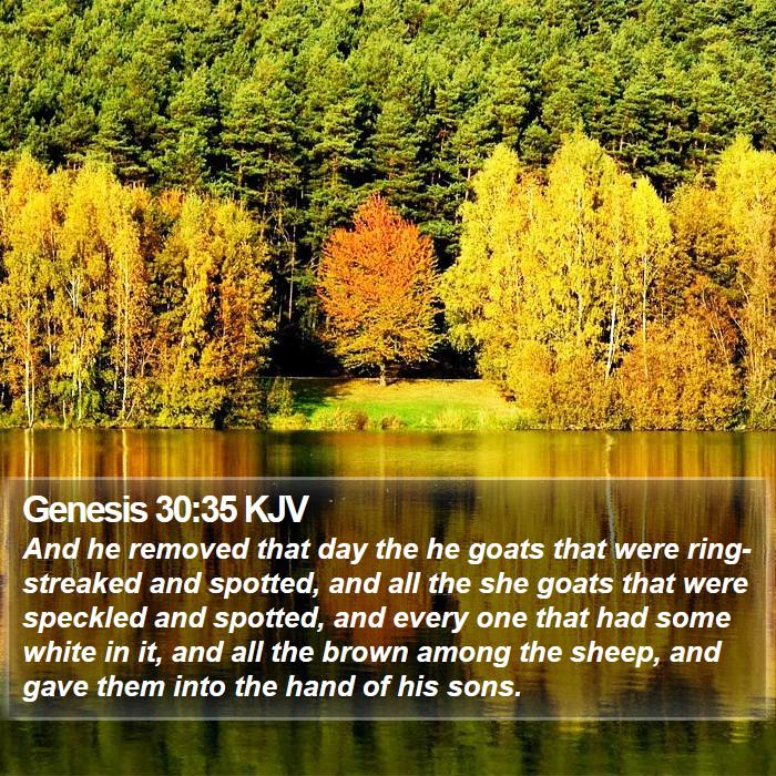 Genesis 30:35 KJV Bible Study