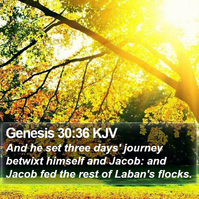 Genesis 30:36 KJV Bible Study