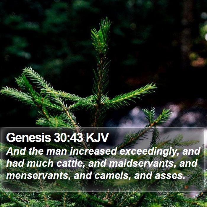 Genesis 30:43 KJV Bible Study