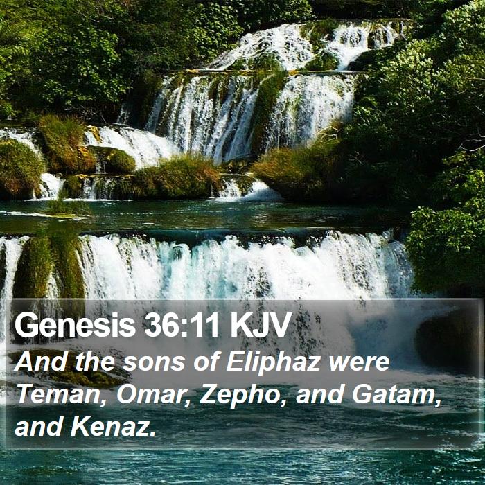 Genesis 36:11 KJV Bible Study