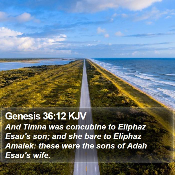 Genesis 36:12 KJV Bible Study