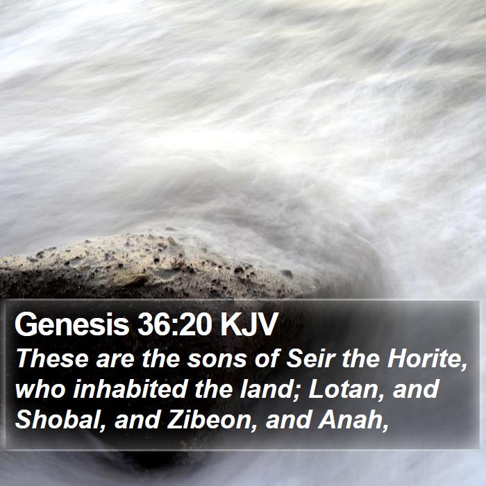 Genesis 36:20 KJV Bible Study