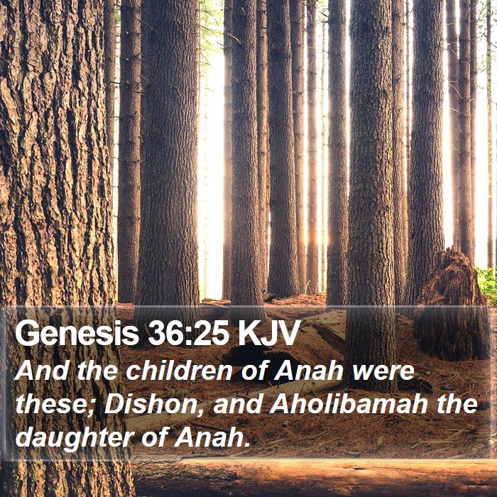 Genesis 36:25 KJV Bible Study