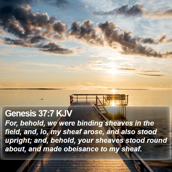 Genesis 37:7 KJV Bible Study