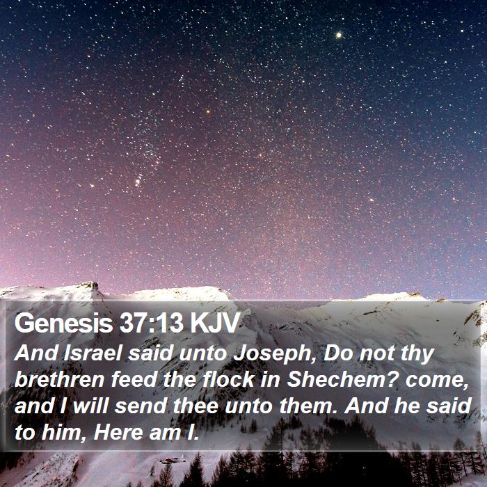 Genesis 37:13 KJV Bible Study