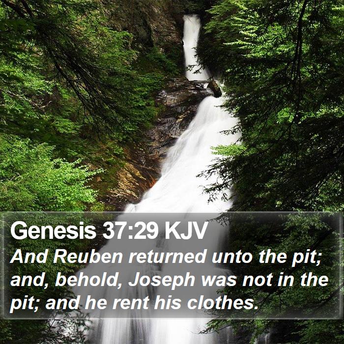 Genesis 37:29 KJV Bible Study