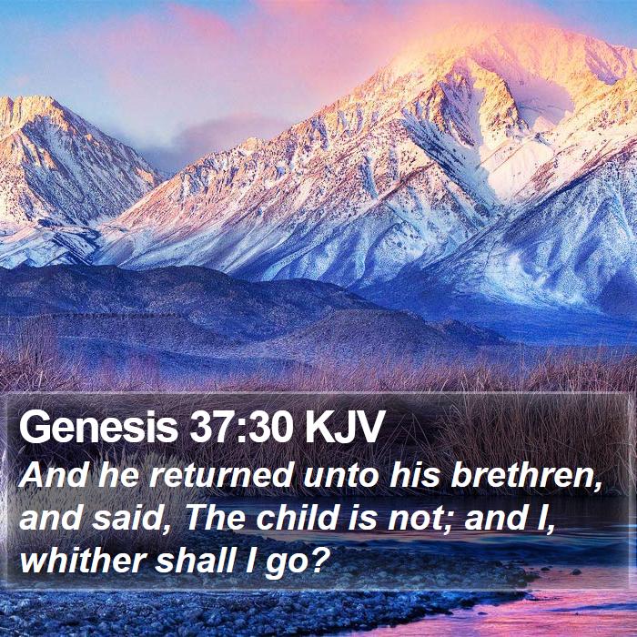 Genesis 37:30 KJV Bible Study