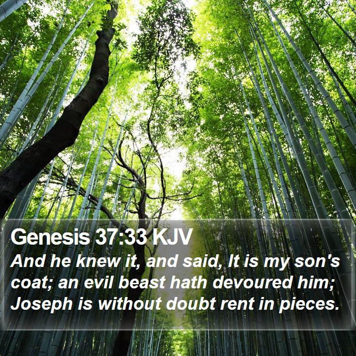 Genesis 37:33 KJV Bible Study