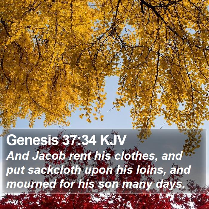 Genesis 37:34 KJV Bible Study