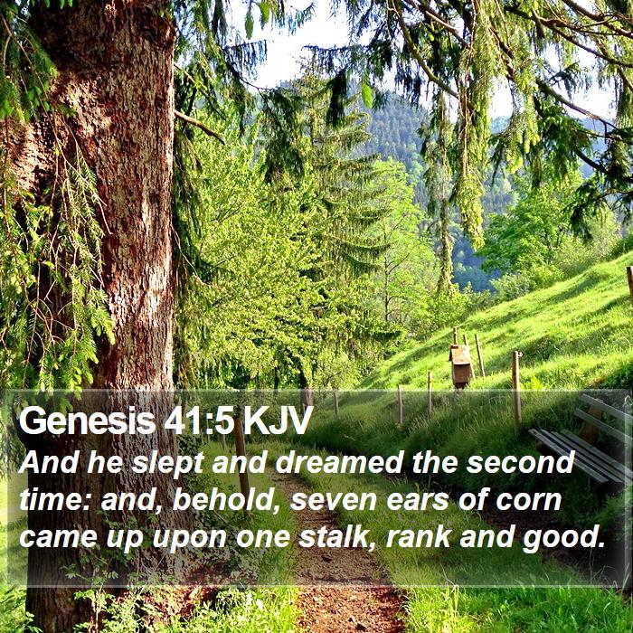 Genesis 41:5 KJV Bible Study