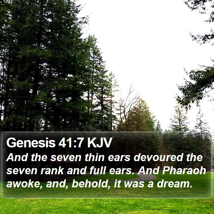 Genesis 41:7 KJV Bible Study