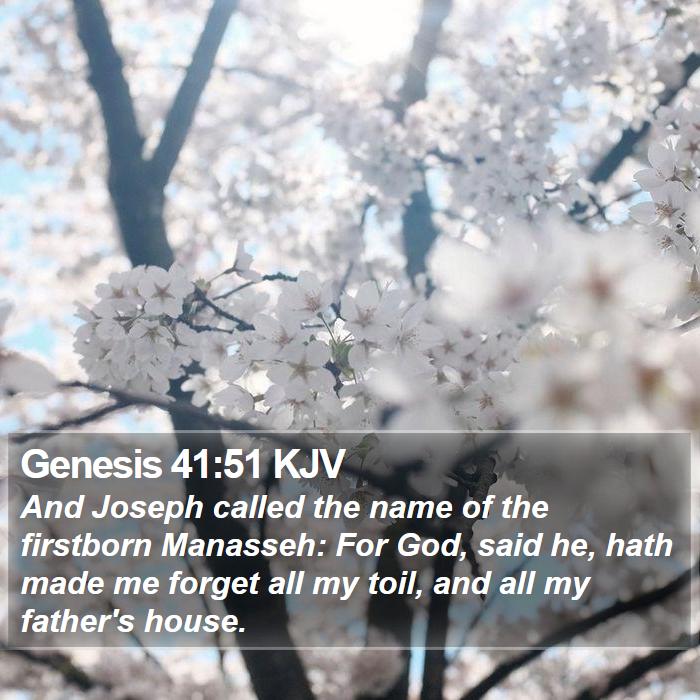 Genesis 41:51 KJV Bible Study