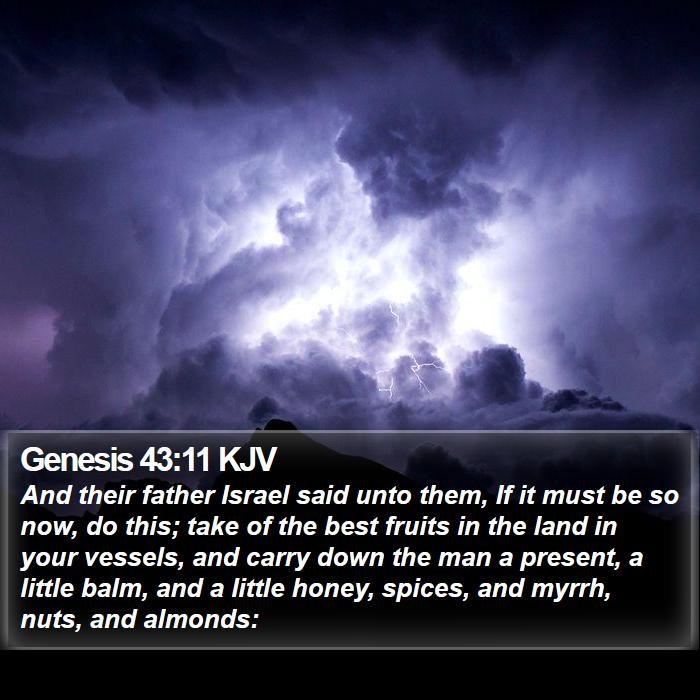 Genesis 43:11 KJV Bible Study