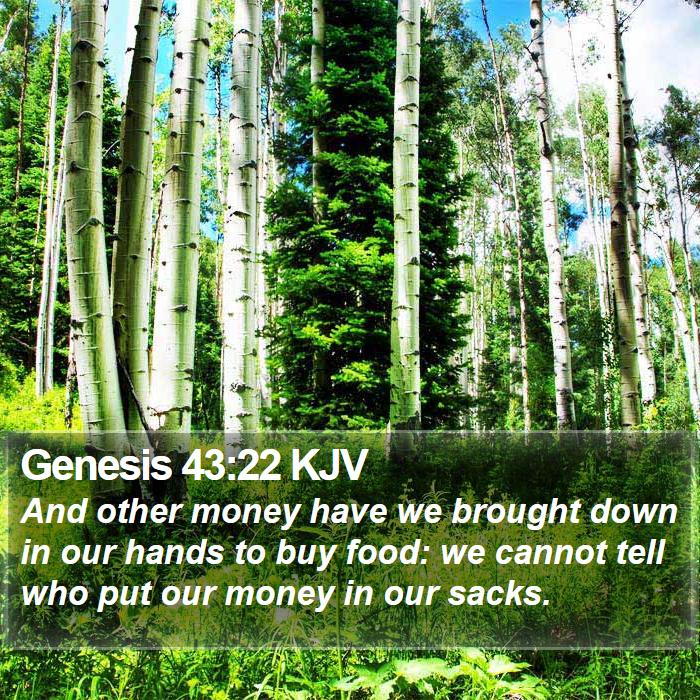 Genesis 43:22 KJV Bible Study