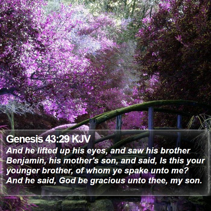 Genesis 43:29 KJV Bible Study