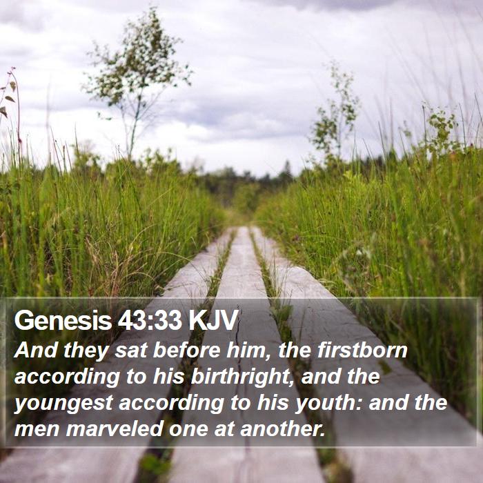 Genesis 43:33 KJV Bible Study