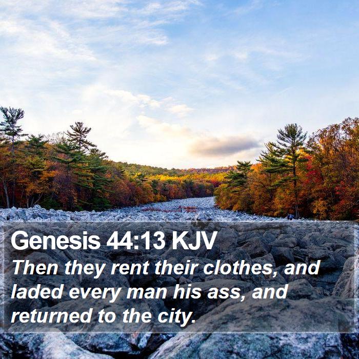 Genesis 44:13 KJV Bible Study