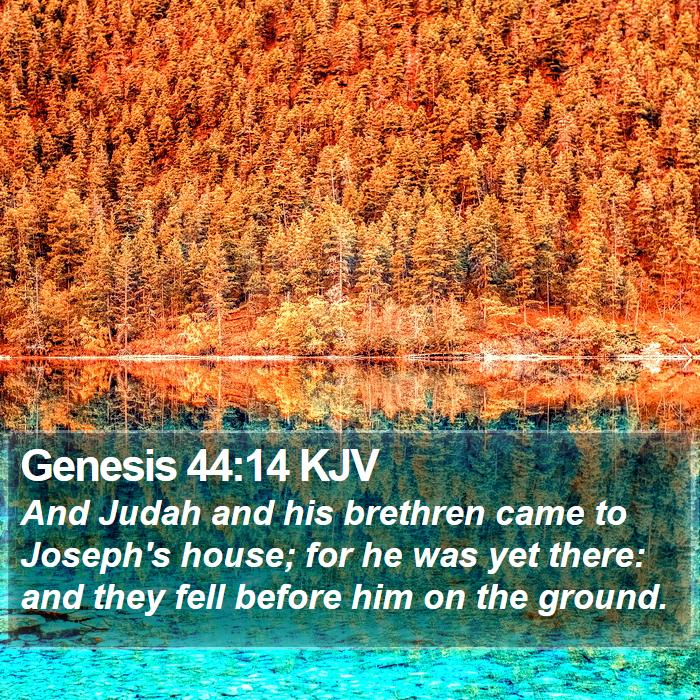 Genesis 44:14 KJV Bible Study