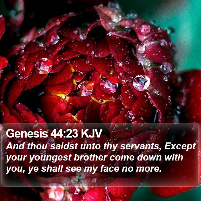 Genesis 44:23 KJV Bible Study