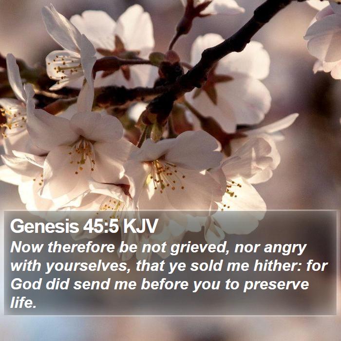 Genesis 45:5 KJV Bible Study