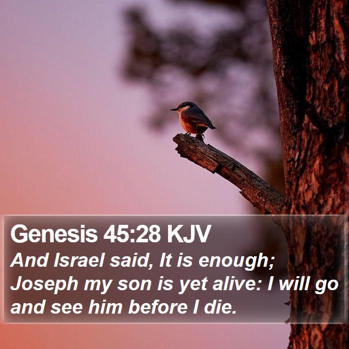 Genesis 45:28 KJV Bible Study