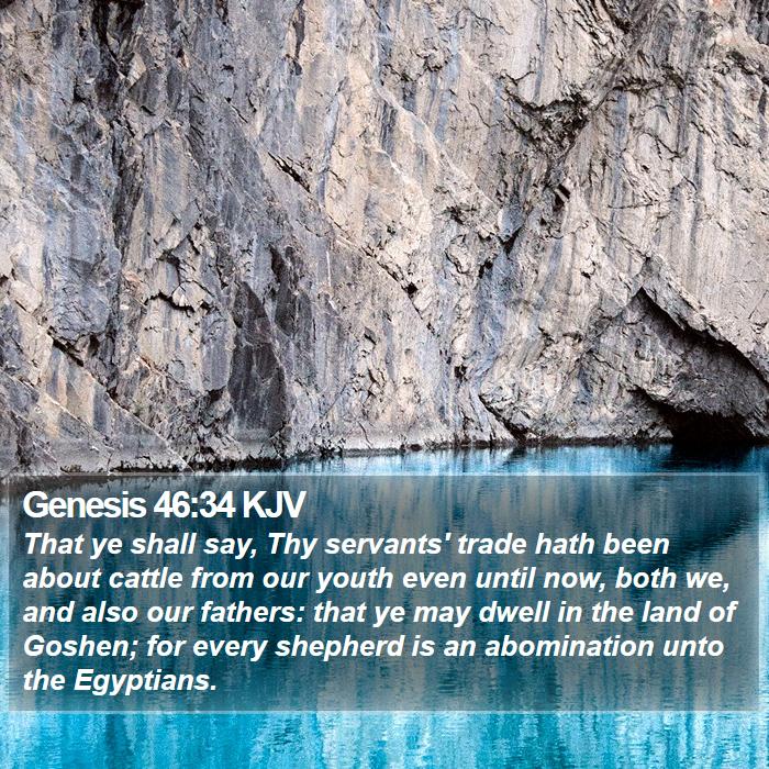 Genesis 46:34 KJV Bible Study