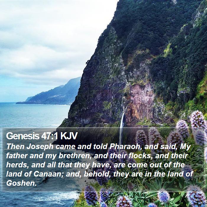 Genesis 47:1 KJV Bible Study